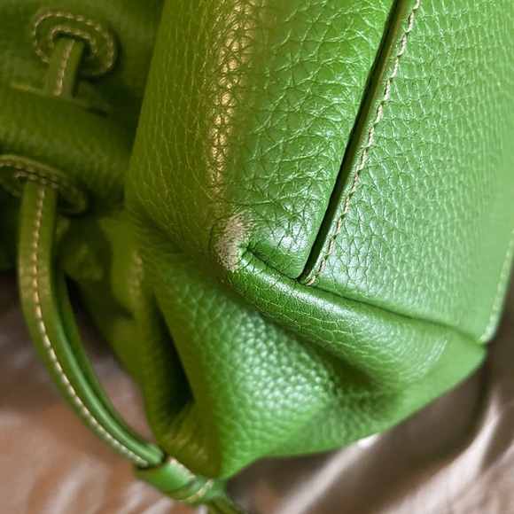 Dooney & Bourke Bright Green Pebbled Leather Tote with Buckle Straps - Picture 6 of 7